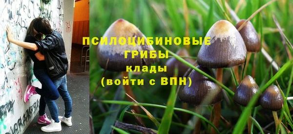 дмт Балахна