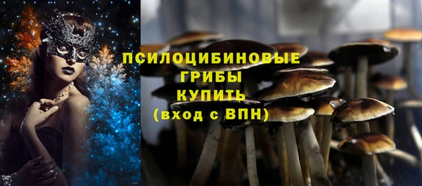 дмт Балахна