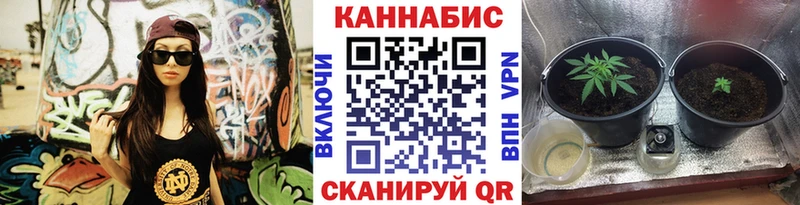 закладки  Гремячинск  Бошки марихуана план 